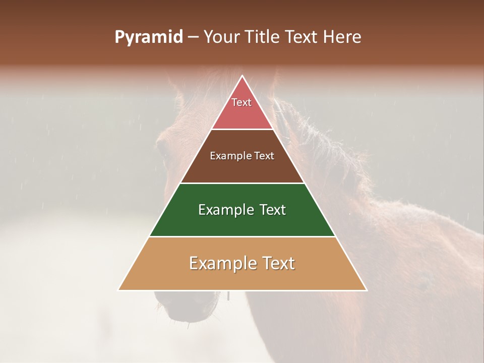 A Brown Horse Standing In The Rain Powerpoint Template PowerPoint Template