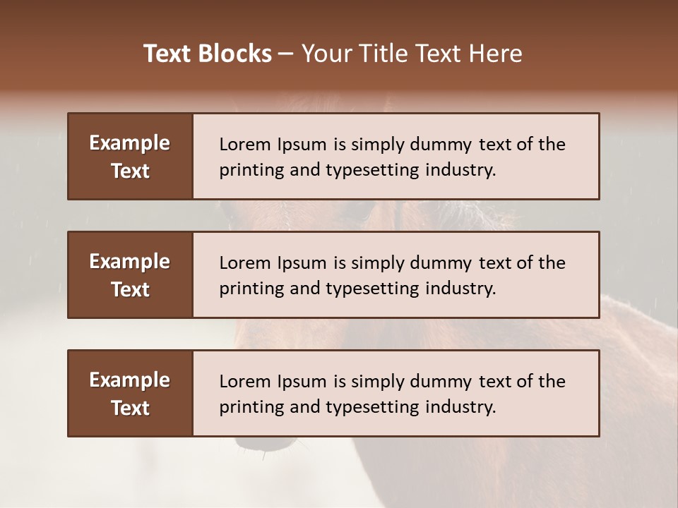 A Brown Horse Standing In The Rain Powerpoint Template PowerPoint Template