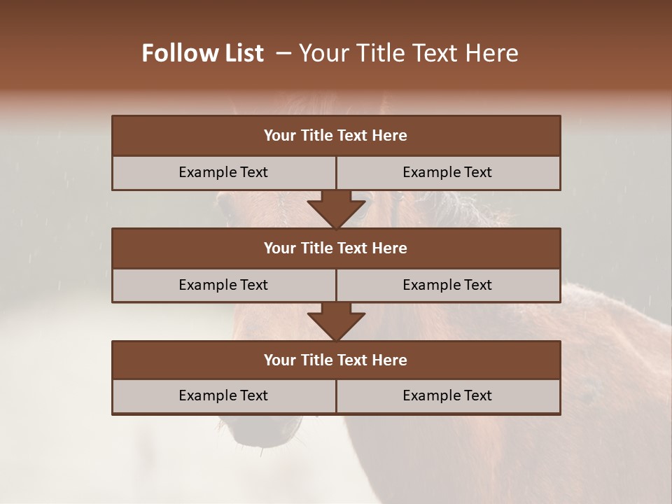 A Brown Horse Standing In The Rain Powerpoint Template PowerPoint Template