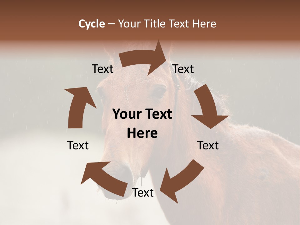 A Brown Horse Standing In The Rain Powerpoint Template PowerPoint Template