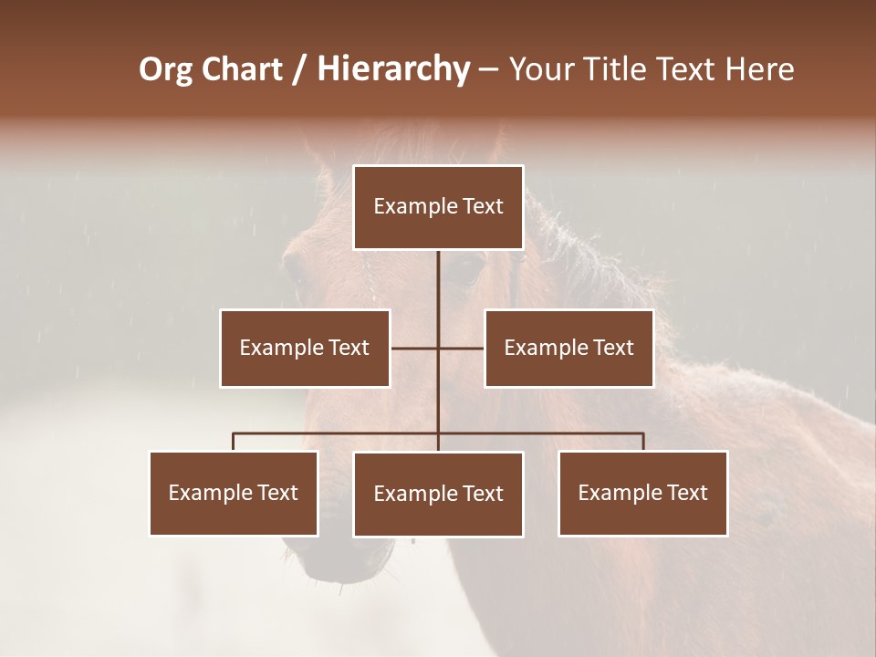 A Brown Horse Standing In The Rain Powerpoint Template PowerPoint Template