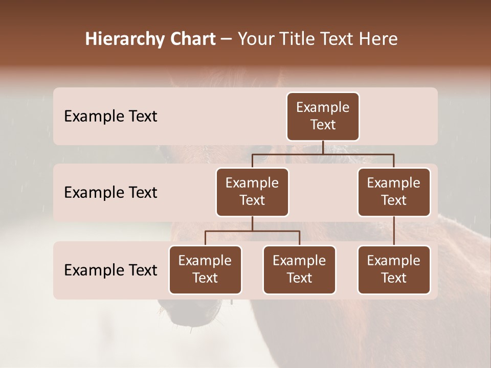 A Brown Horse Standing In The Rain Powerpoint Template PowerPoint Template