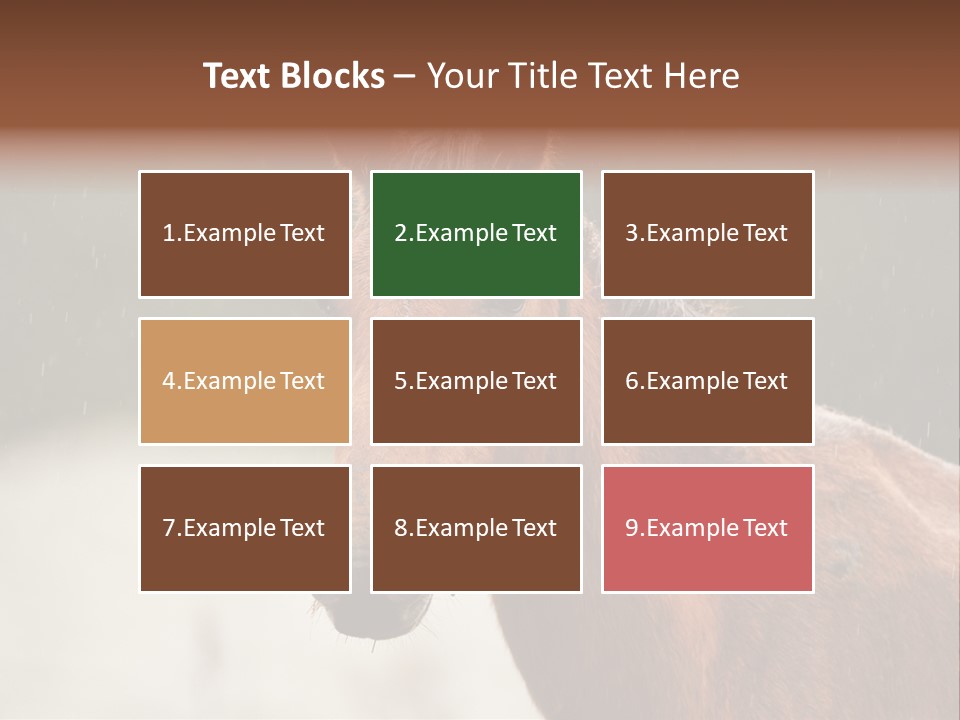 A Brown Horse Standing In The Rain Powerpoint Template PowerPoint Template