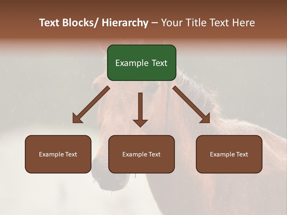 A Brown Horse Standing In The Rain Powerpoint Template PowerPoint Template