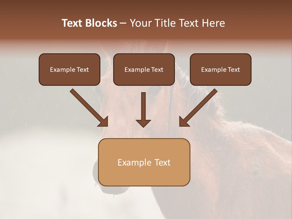 A Brown Horse Standing In The Rain Powerpoint Template PowerPoint Template