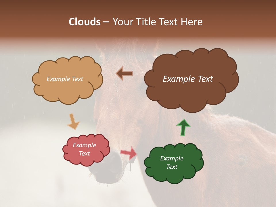 A Brown Horse Standing In The Rain Powerpoint Template PowerPoint Template
