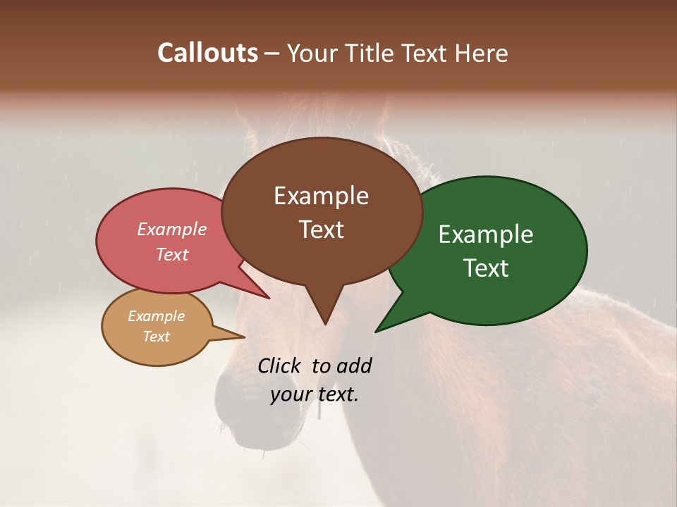 A Brown Horse Standing In The Rain Powerpoint Template PowerPoint Template