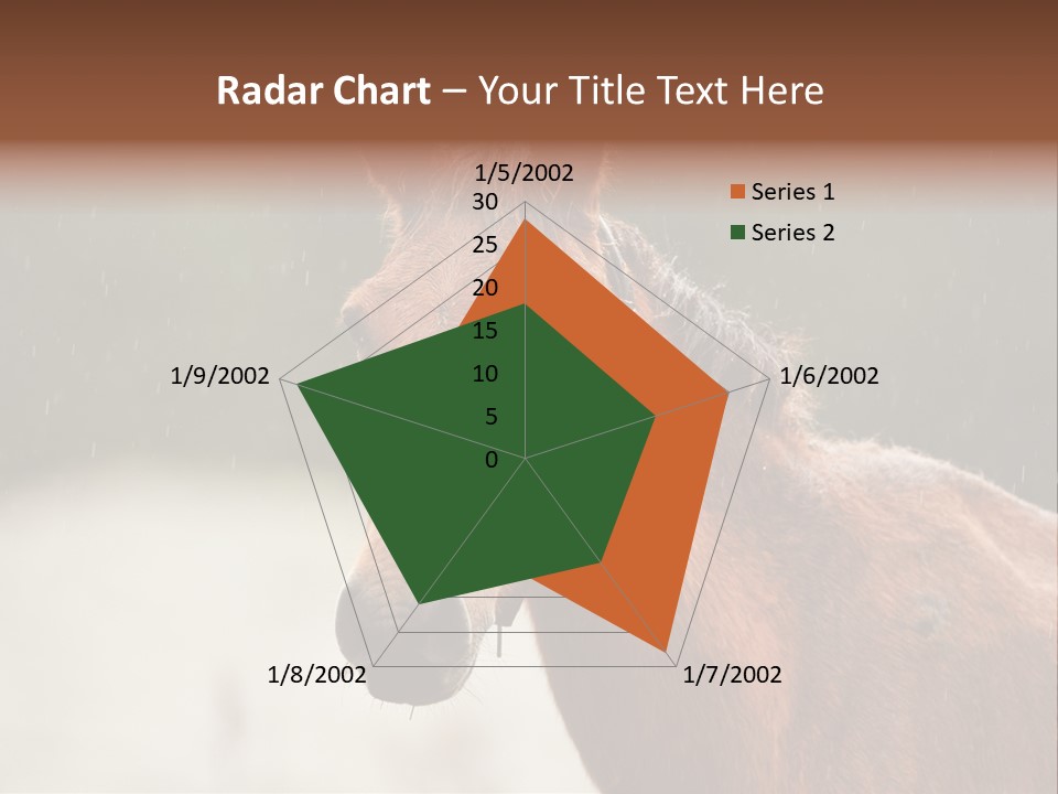 A Brown Horse Standing In The Rain Powerpoint Template PowerPoint Template