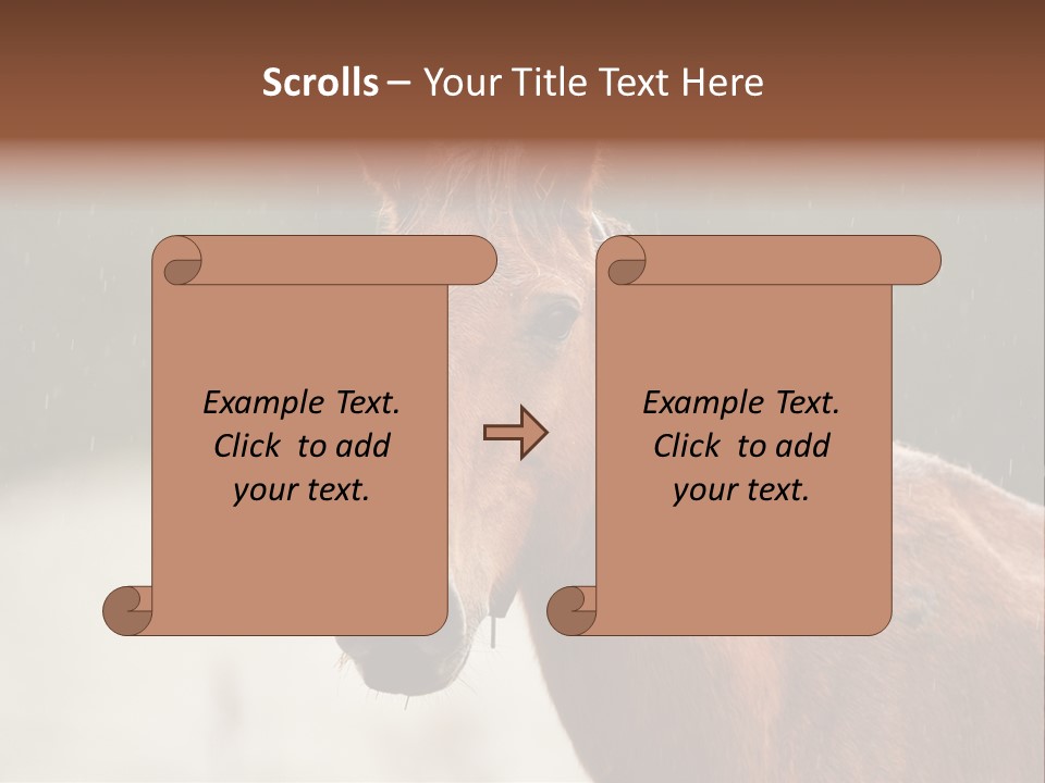 A Brown Horse Standing In The Rain Powerpoint Template PowerPoint Template