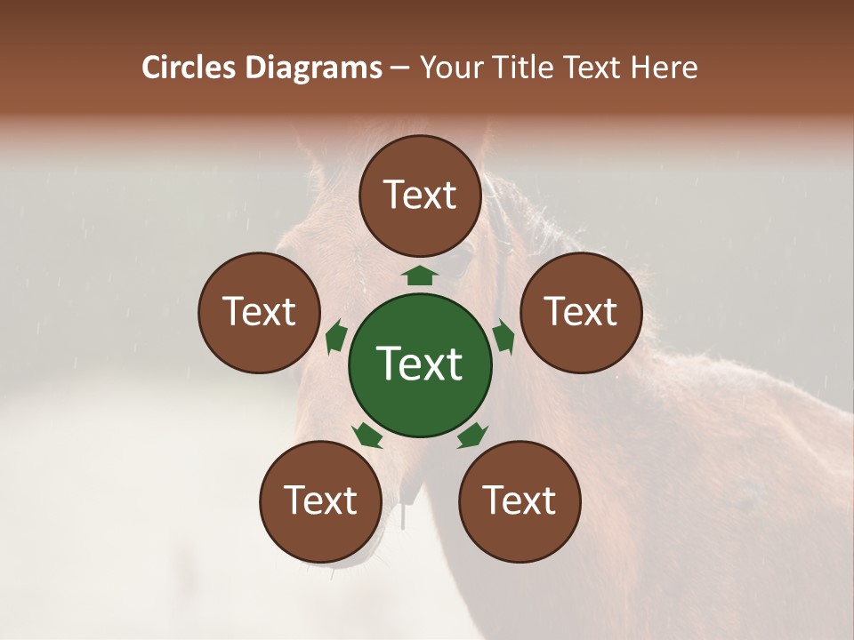 A Brown Horse Standing In The Rain Powerpoint Template PowerPoint Template