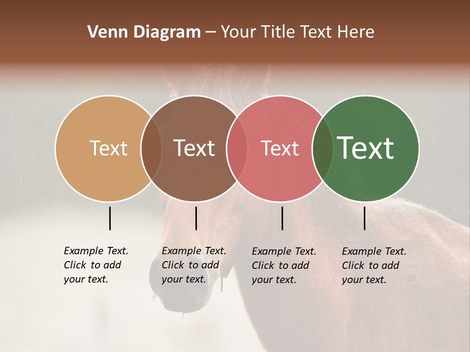 A Brown Horse Standing In The Rain Powerpoint Template PowerPoint Template