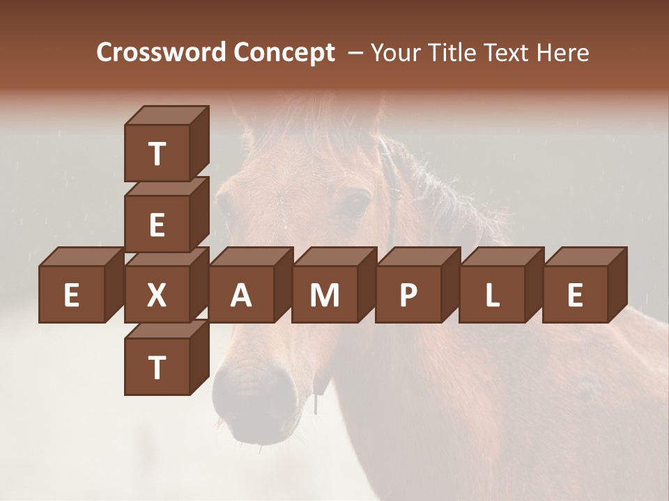 A Brown Horse Standing In The Rain Powerpoint Template PowerPoint Template