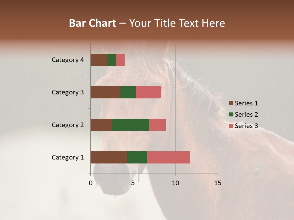 A Brown Horse Standing In The Rain Powerpoint Template PowerPoint Template