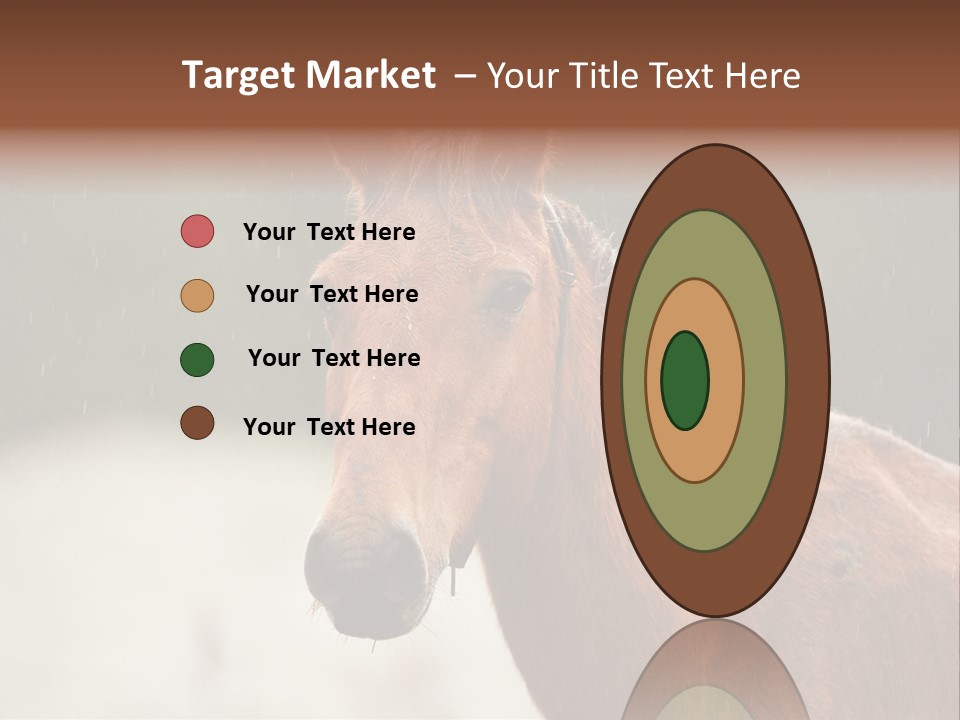A Brown Horse Standing In The Rain Powerpoint Template PowerPoint Template