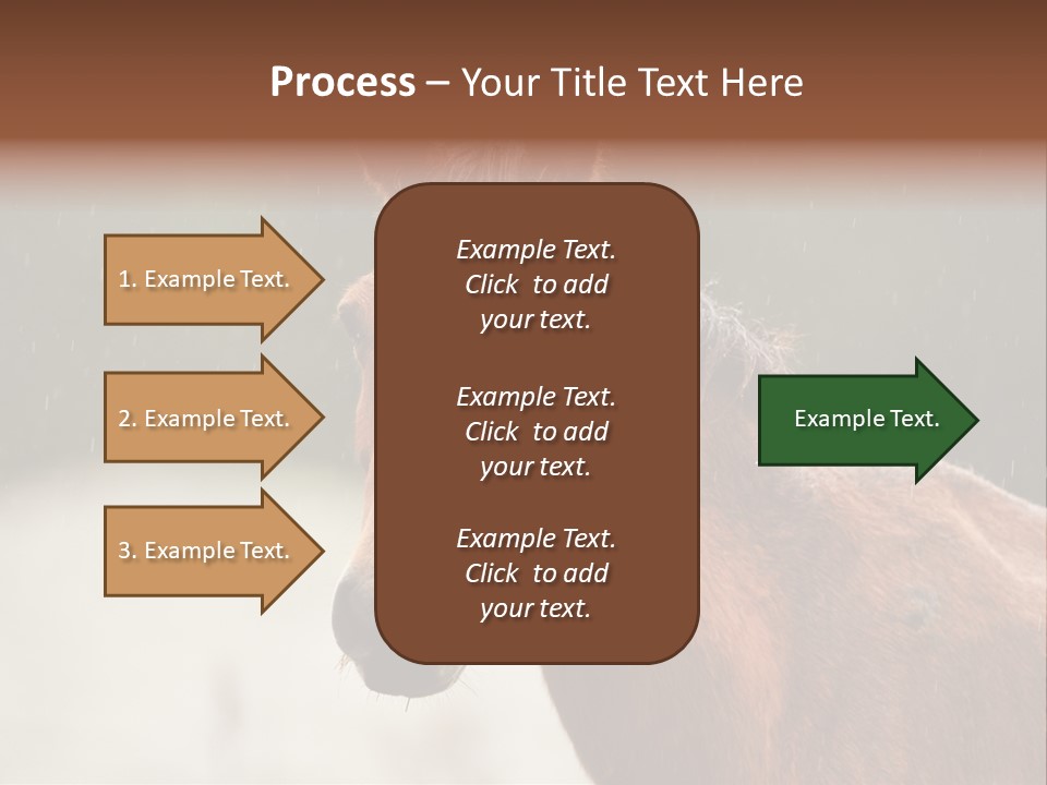 A Brown Horse Standing In The Rain Powerpoint Template PowerPoint Template