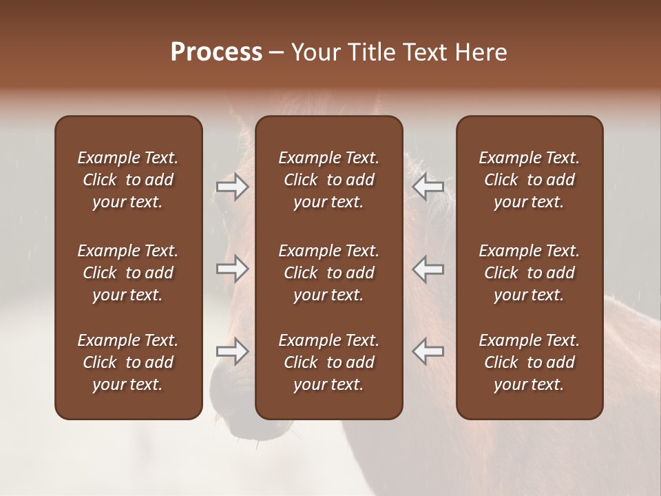 A Brown Horse Standing In The Rain Powerpoint Template PowerPoint Template