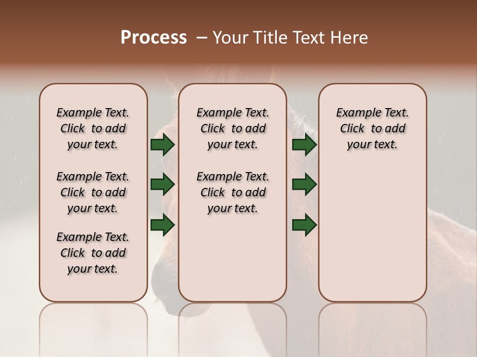 A Brown Horse Standing In The Rain Powerpoint Template PowerPoint Template
