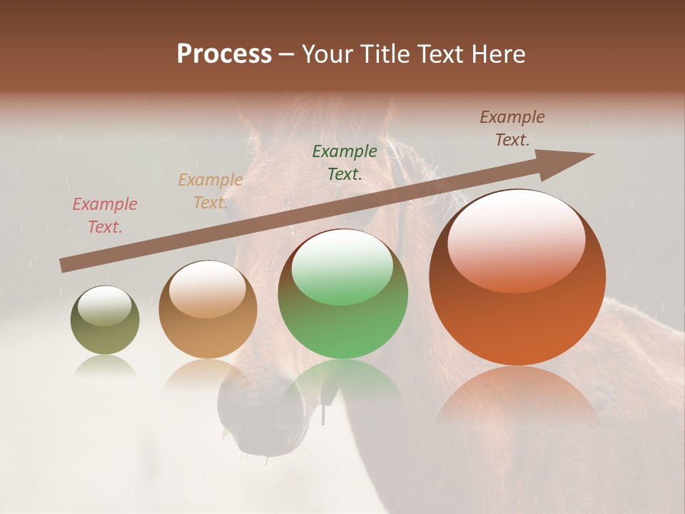 A Brown Horse Standing In The Rain Powerpoint Template PowerPoint Template