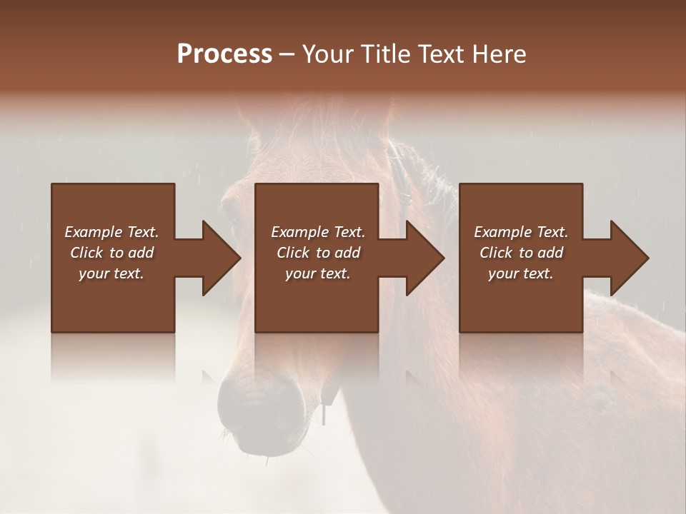 A Brown Horse Standing In The Rain Powerpoint Template PowerPoint Template