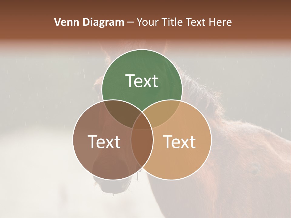 A Brown Horse Standing In The Rain Powerpoint Template PowerPoint Template