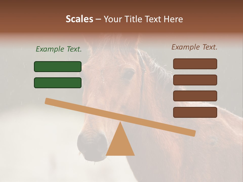 A Brown Horse Standing In The Rain Powerpoint Template PowerPoint Template