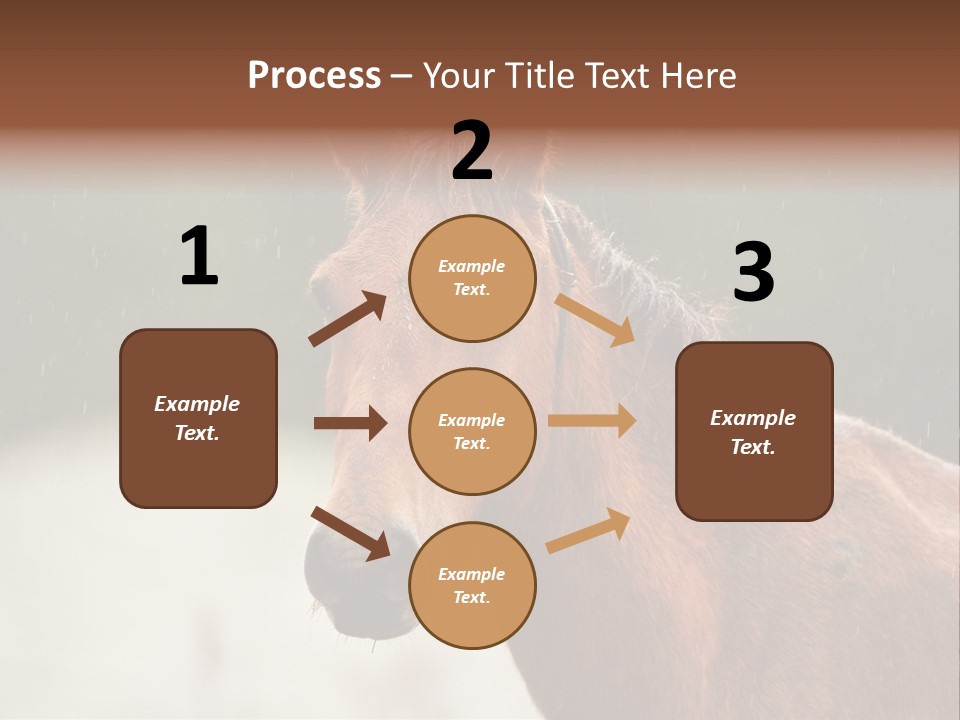 A Brown Horse Standing In The Rain Powerpoint Template PowerPoint Template