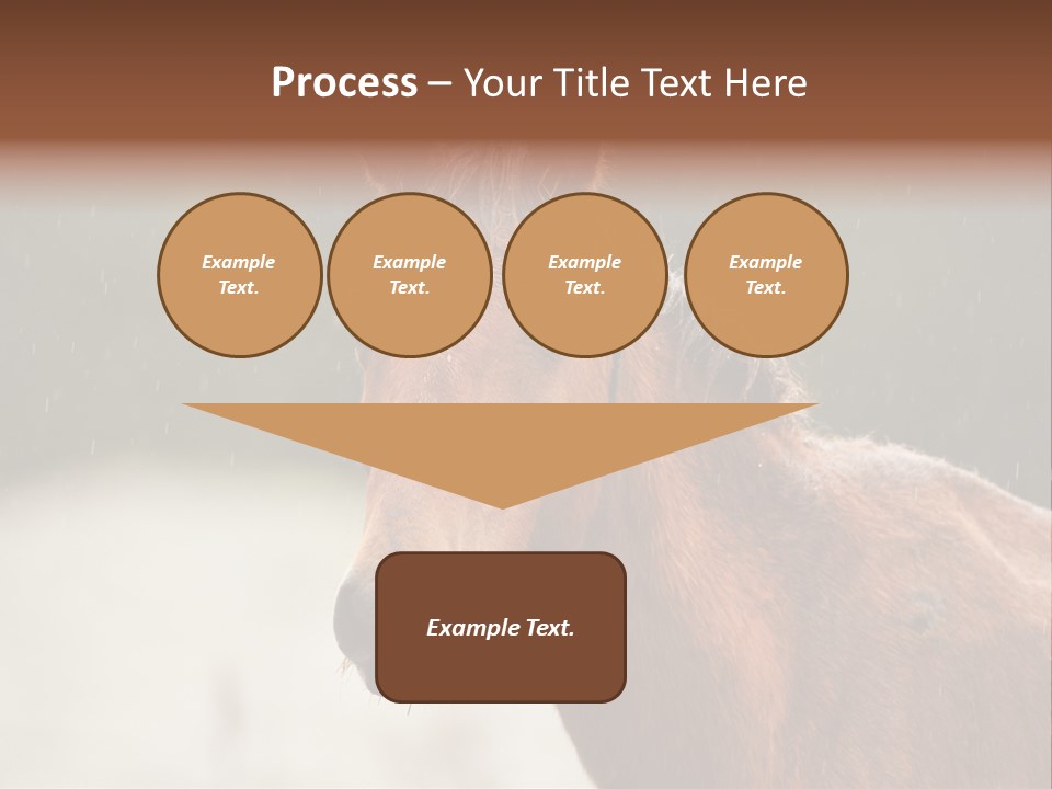 A Brown Horse Standing In The Rain Powerpoint Template PowerPoint Template