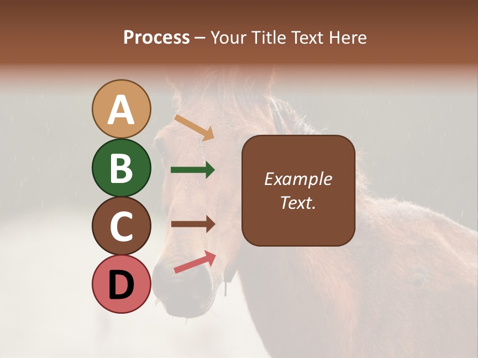 A Brown Horse Standing In The Rain Powerpoint Template PowerPoint Template