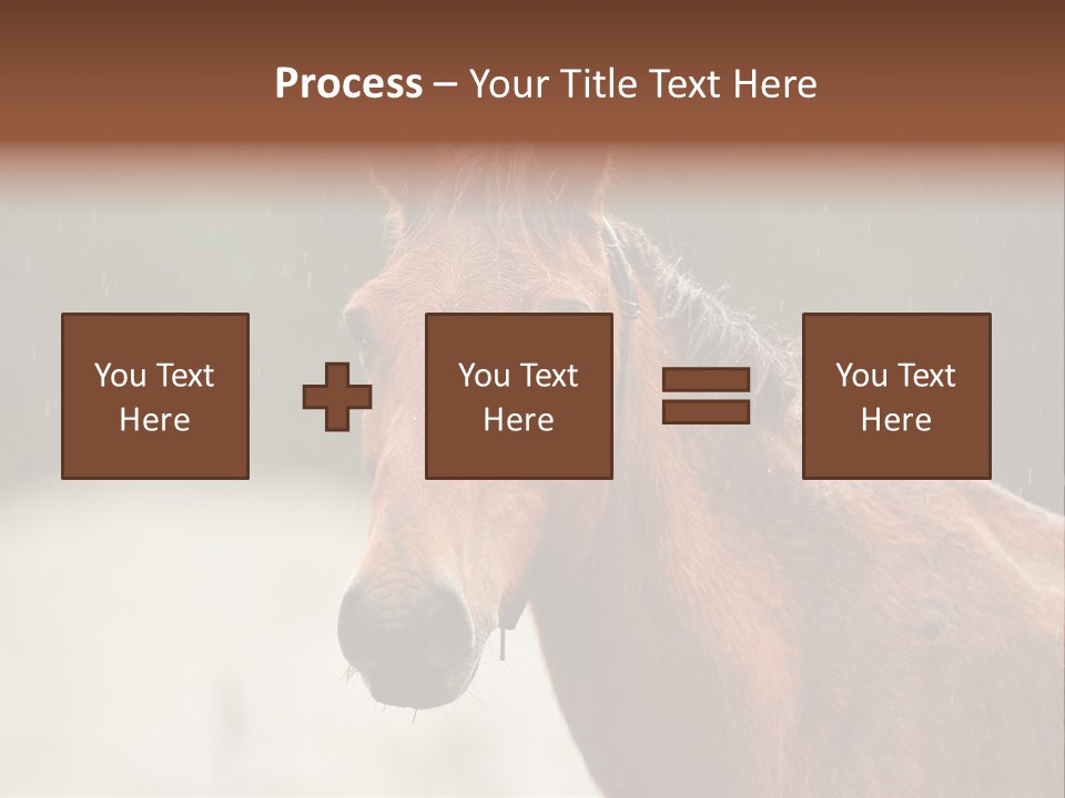 A Brown Horse Standing In The Rain Powerpoint Template PowerPoint Template