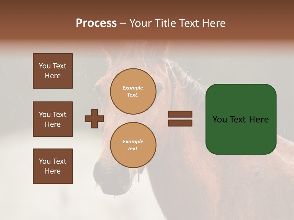 A Brown Horse Standing In The Rain Powerpoint Template PowerPoint Template
