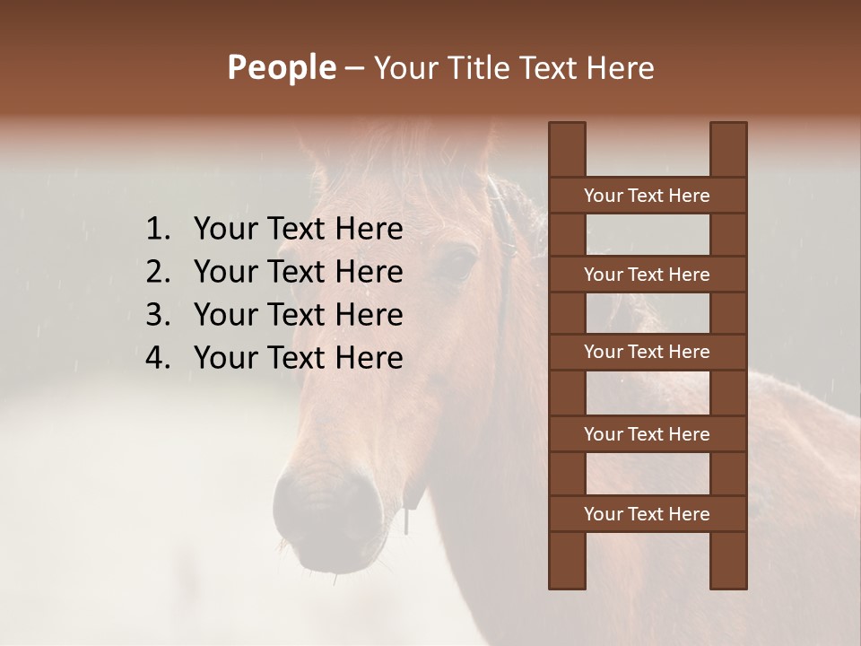 A Brown Horse Standing In The Rain Powerpoint Template PowerPoint Template