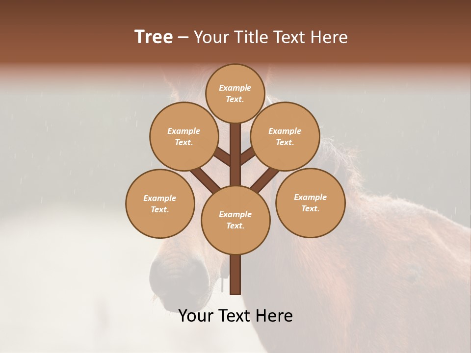A Brown Horse Standing In The Rain Powerpoint Template PowerPoint Template