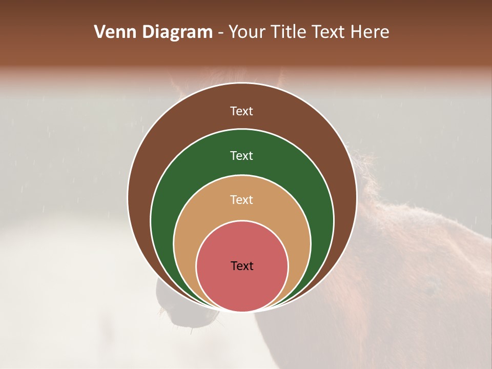 A Brown Horse Standing In The Rain Powerpoint Template PowerPoint Template