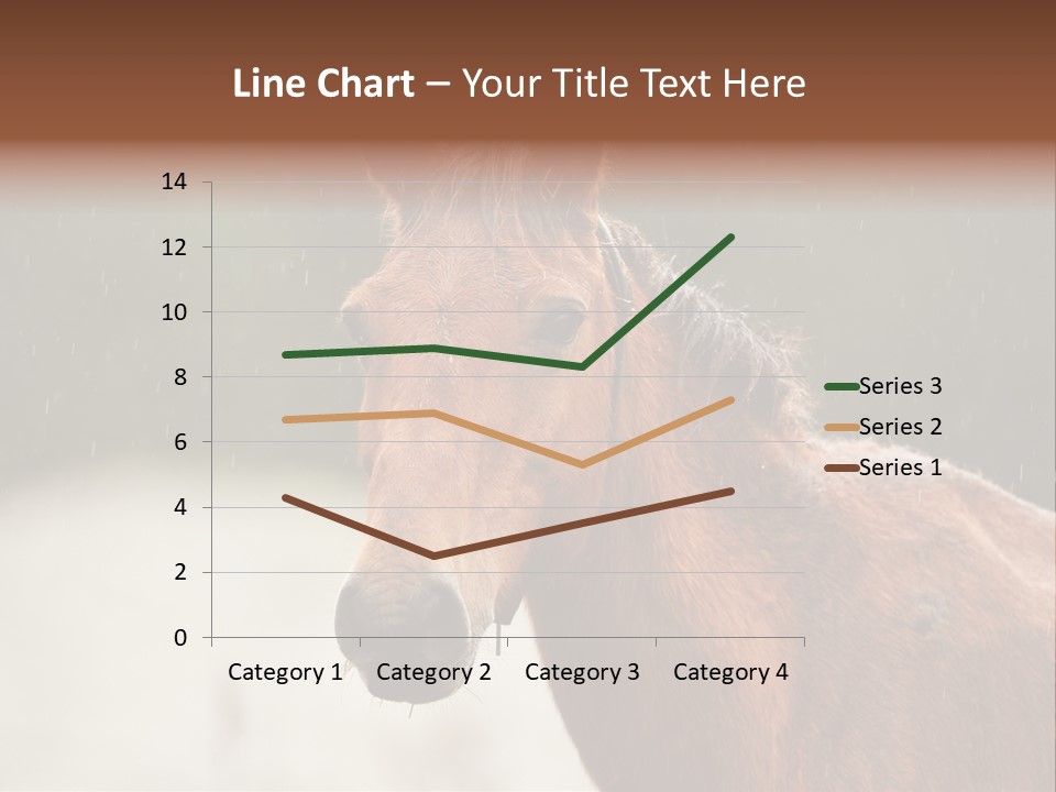 A Brown Horse Standing In The Rain Powerpoint Template PowerPoint Template