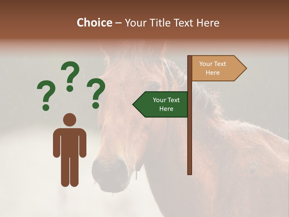 A Brown Horse Standing In The Rain Powerpoint Template PowerPoint Template