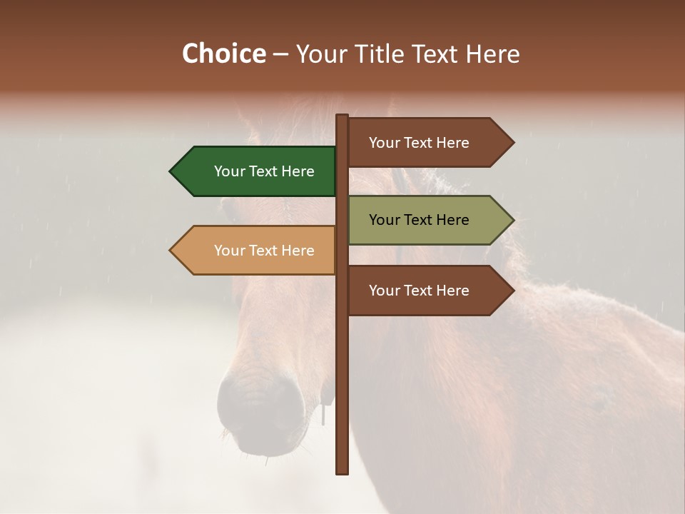 A Brown Horse Standing In The Rain Powerpoint Template PowerPoint Template