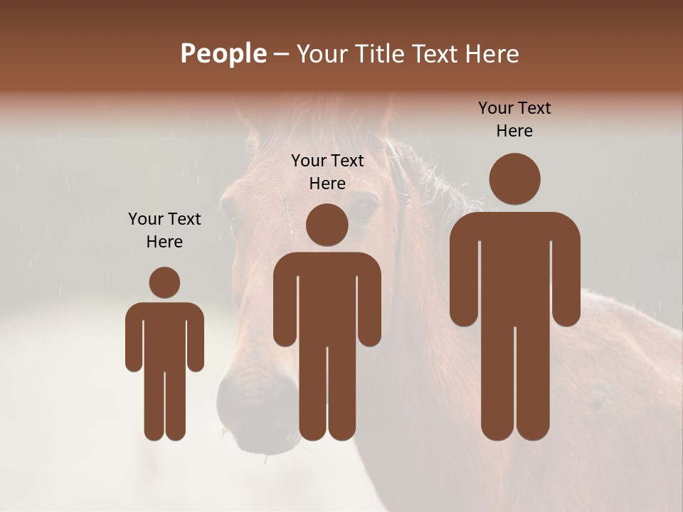 A Brown Horse Standing In The Rain Powerpoint Template PowerPoint Template