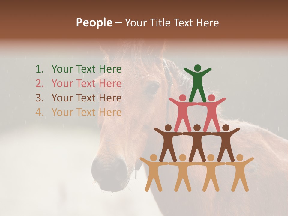 A Brown Horse Standing In The Rain Powerpoint Template PowerPoint Template