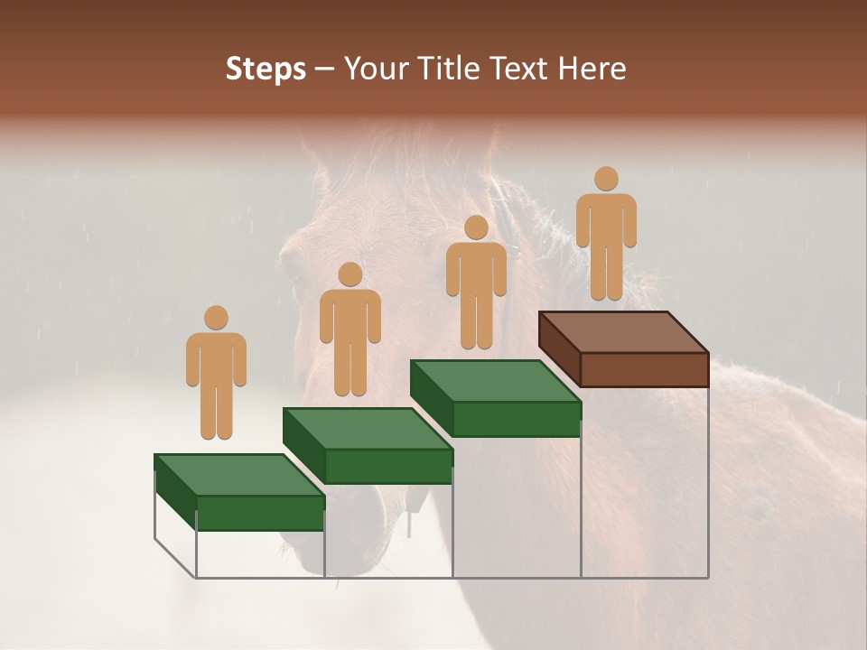 A Brown Horse Standing In The Rain Powerpoint Template PowerPoint Template