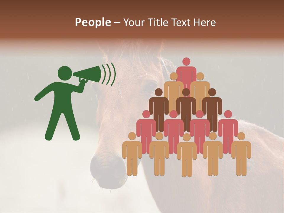 A Brown Horse Standing In The Rain Powerpoint Template PowerPoint Template