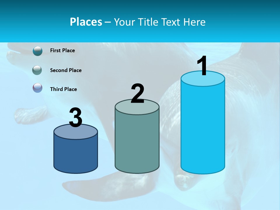A Couple Of Dolphins Swimming In The Water PowerPoint Template