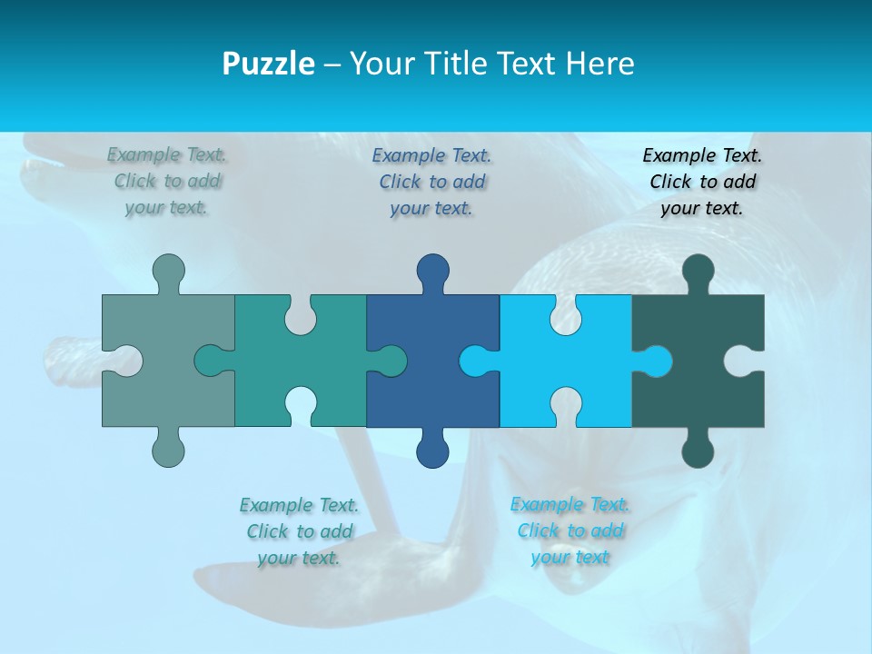 A Couple Of Dolphins Swimming In The Water PowerPoint Template