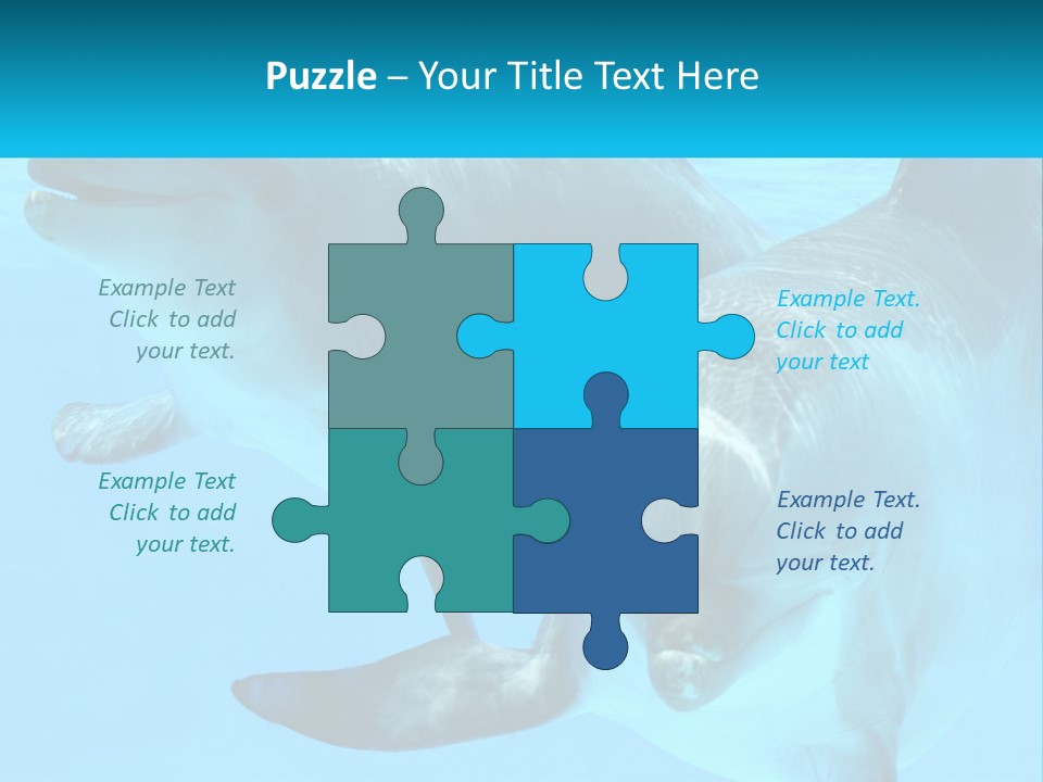 A Couple Of Dolphins Swimming In The Water PowerPoint Template