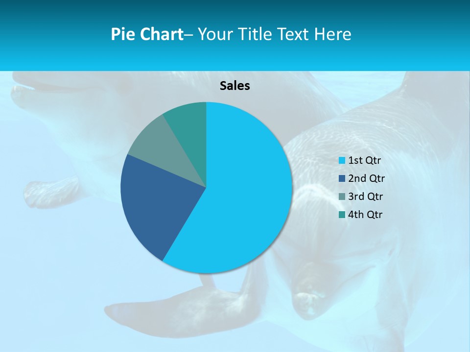 A Couple Of Dolphins Swimming In The Water PowerPoint Template