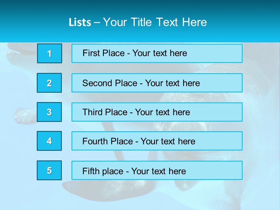 A Couple Of Dolphins Swimming In The Water PowerPoint Template