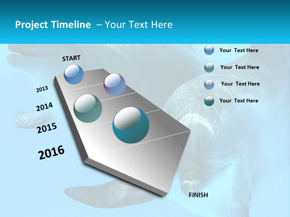 A Couple Of Dolphins Swimming In The Water PowerPoint Template
