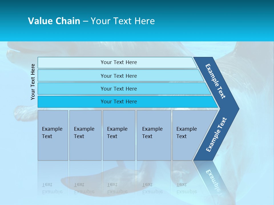 A Couple Of Dolphins Swimming In The Water PowerPoint Template
