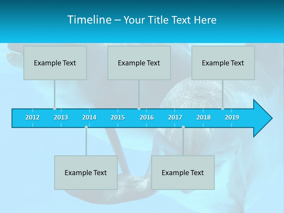 A Couple Of Dolphins Swimming In The Water PowerPoint Template
