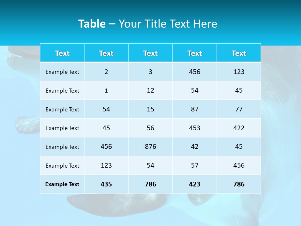 A Couple Of Dolphins Swimming In The Water PowerPoint Template