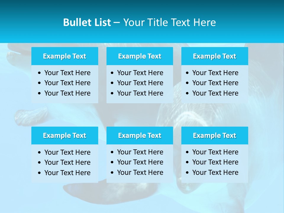 A Couple Of Dolphins Swimming In The Water PowerPoint Template